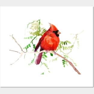 Cardinal Bird Posters and Art